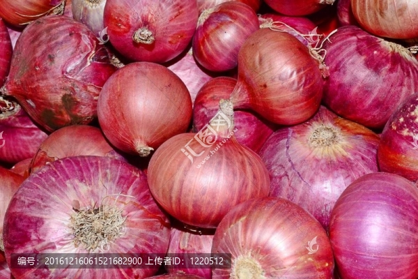 紅洋蔥