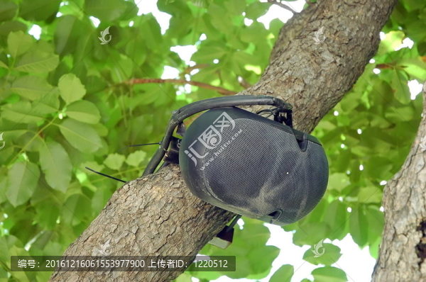 樹(shù)上的揚(yáng)聲器