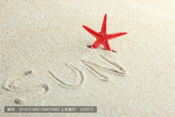 海灘上的貝殼