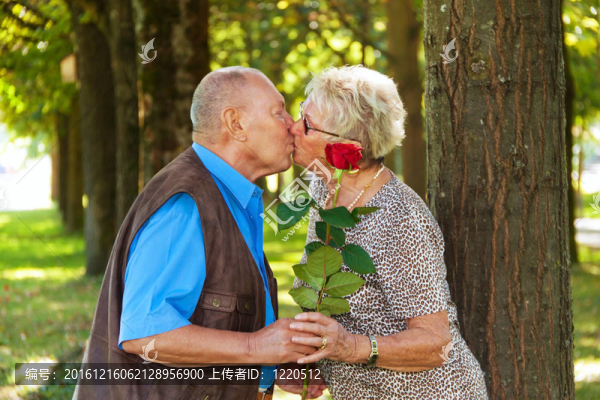 老年夫婦戀愛。