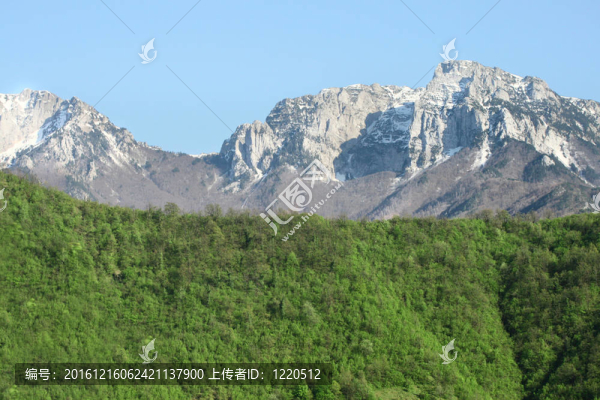 科托爾的春天景色的海灣