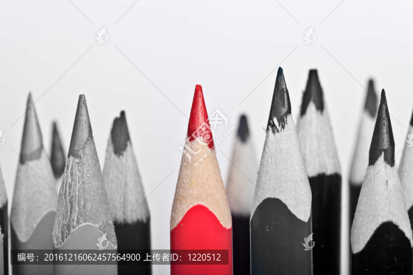 紅筆突出；白色背景