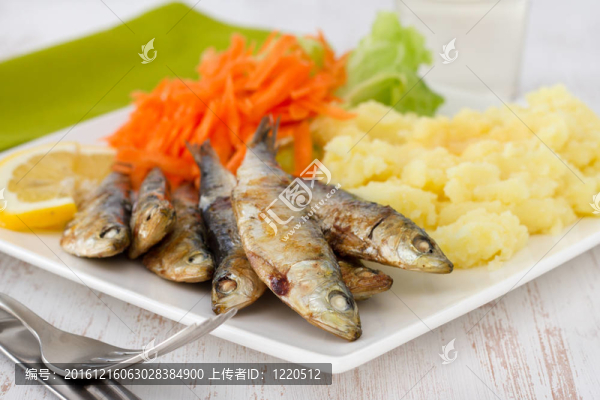 炒沙丁油魚沙拉和土豆泥板上