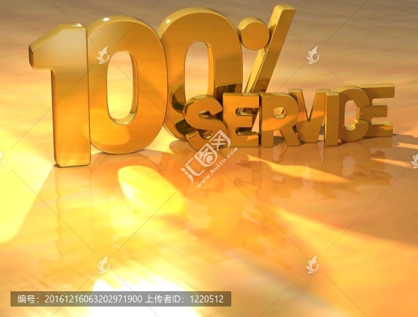 3D百分之100服務(wù)黃金文本
