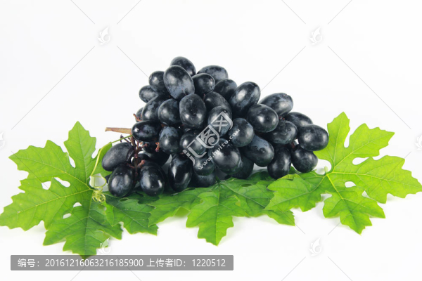葡萄葉