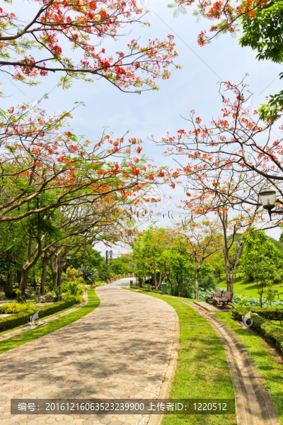 公園路