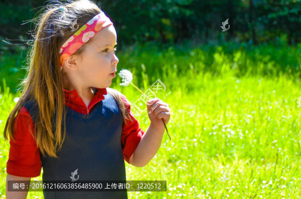 陽(yáng)光明媚的草地上的漂亮女孩