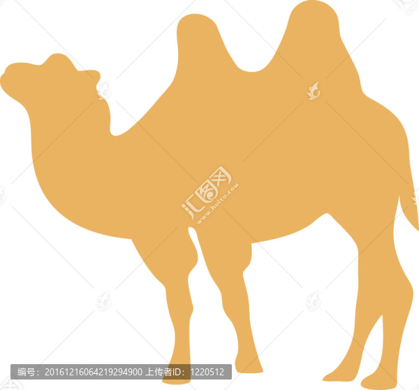 駱駝圖