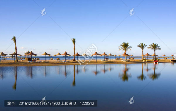 埃及的海灘