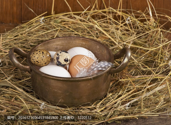 雞鵪鶉蛋