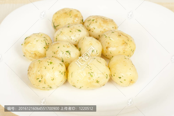 馬鈴薯早熟