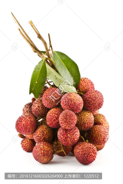 束荔枝