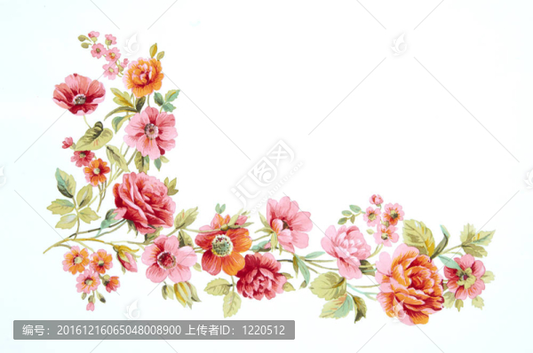 水彩畫中花的色彩闡釋