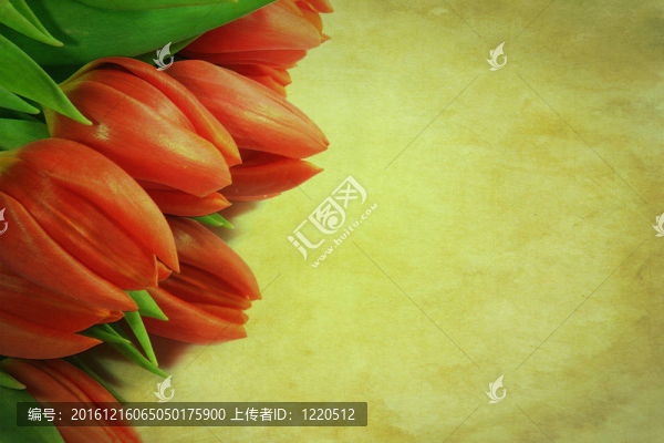 復(fù)古浪漫