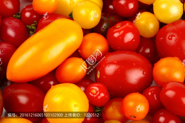 本特有Haufen,verschiedener縮短biotomaten,nach,der,ernte