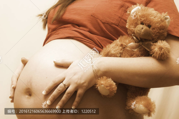 抱著泰迪