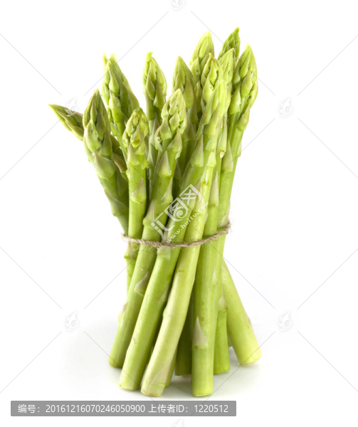 白底蘆筍