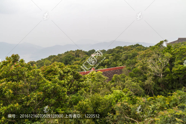 中國叢林；海南島