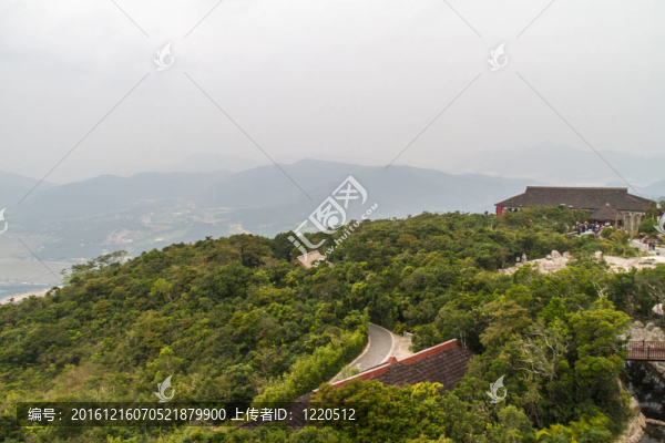 中國(guó)叢林；海南島