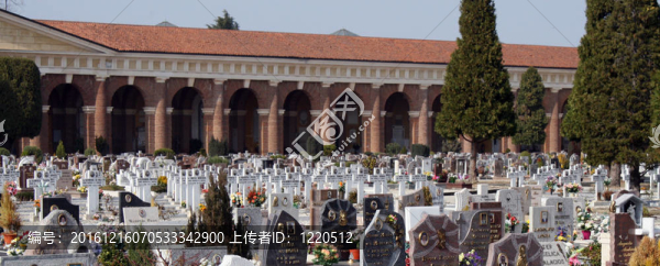 墳?zāi)沟哪贡谝獯罄囊粋€墓地的十字架
