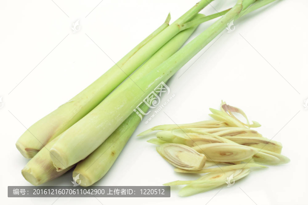 檸檬草