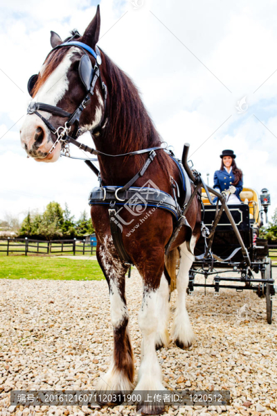 馬車