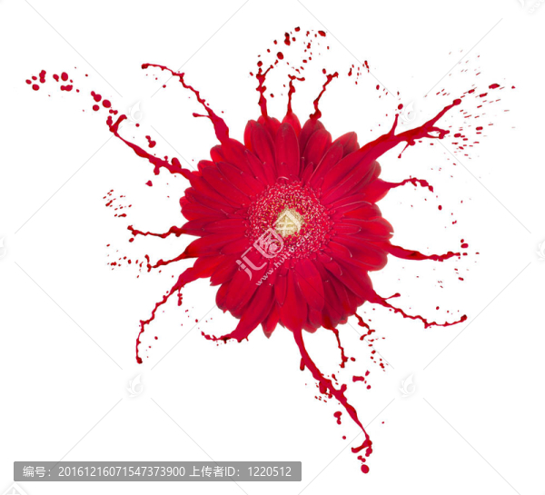 紅色的花