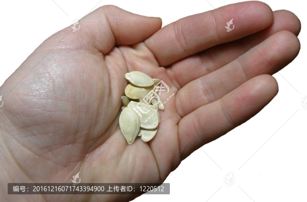 種子在手