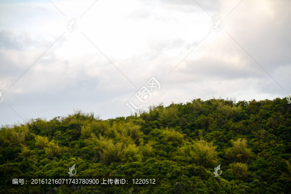 在泰國(guó)島