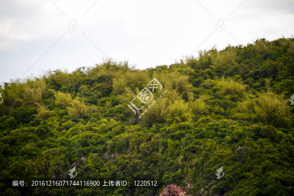 在泰國島