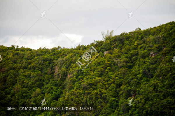 在泰國島