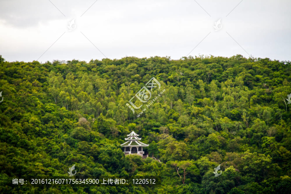 在泰國(guó)島