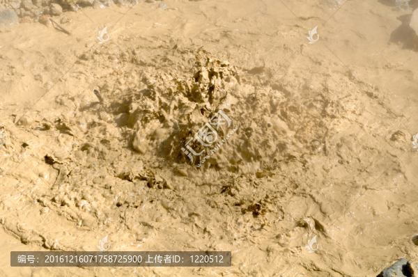 在拉森山國家公園沸騰的泥漿罐