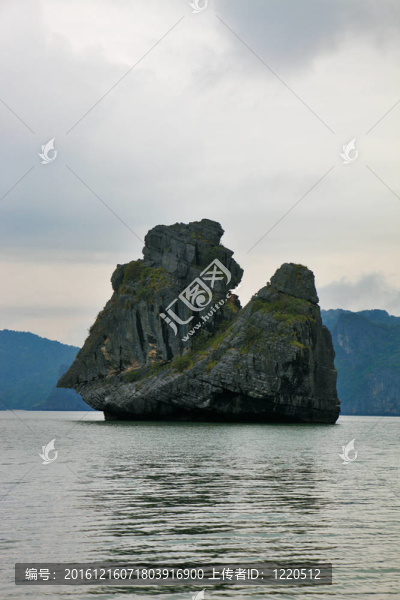 巖石島該島的猴子