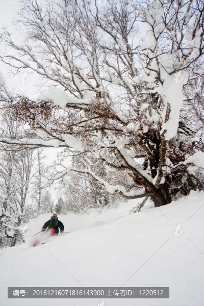 搭便車在西伯利亞滑雪