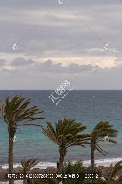 突尼斯地中海海灘度假村。
