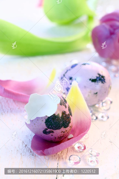 丁香鵪鶉蛋