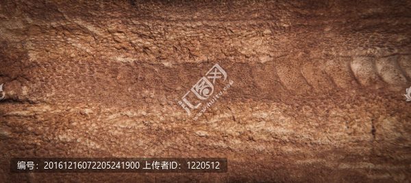 真正的Brown,Leather