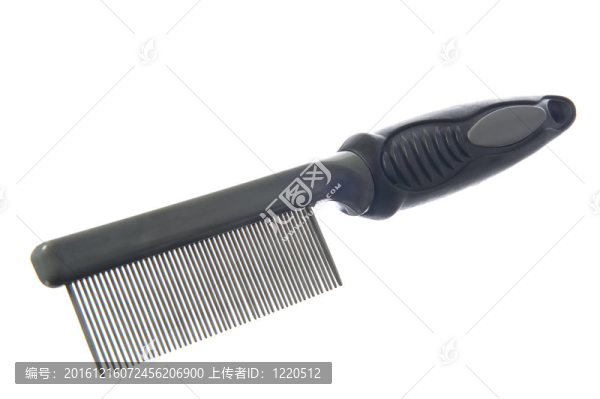 美容用品的狗
