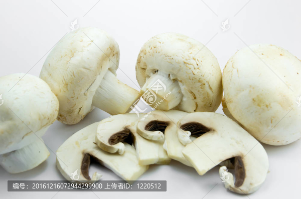 白底蘑菇