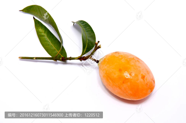 瑪麗安李