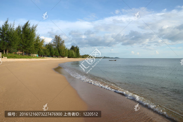 和平熱帶松沙灘和小波浪。