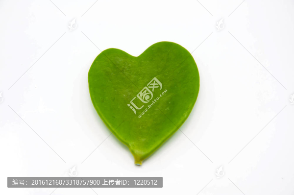心的形狀從綠色的葉子