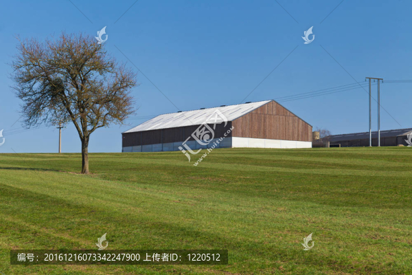 農(nóng)場