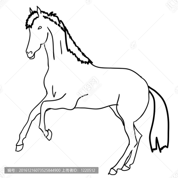 黑色的馬