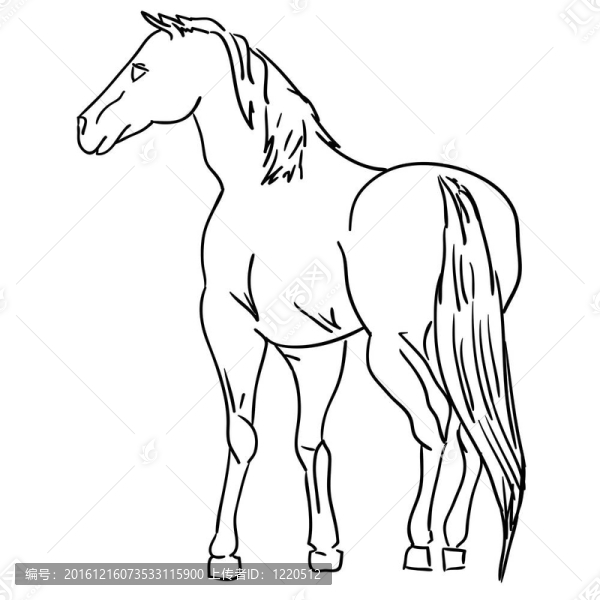 黑色的馬
