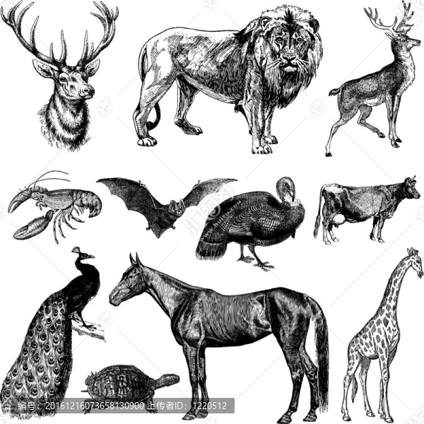 老式動物套裝