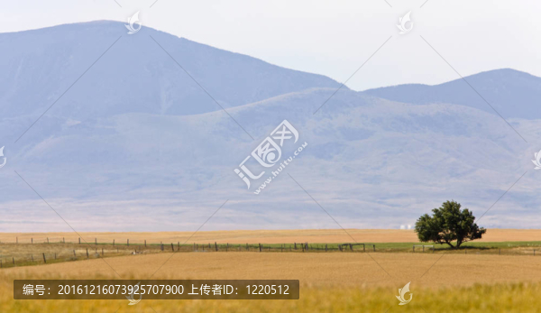 阿爾伯塔南部田園風(fēng)光草原