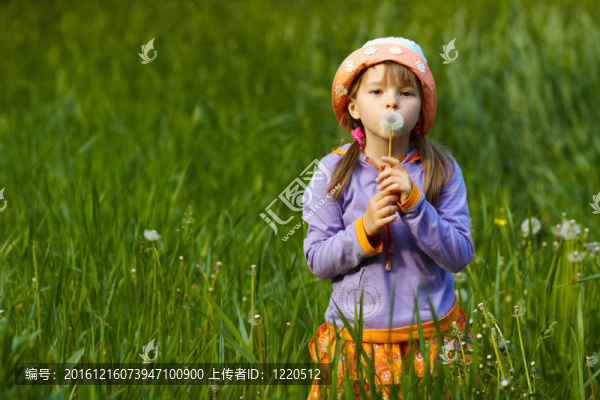 女孩手里拿著蒲公英