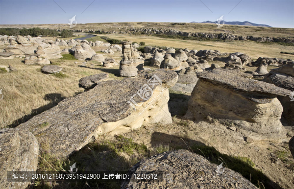 牛奶河阿爾伯塔荒地